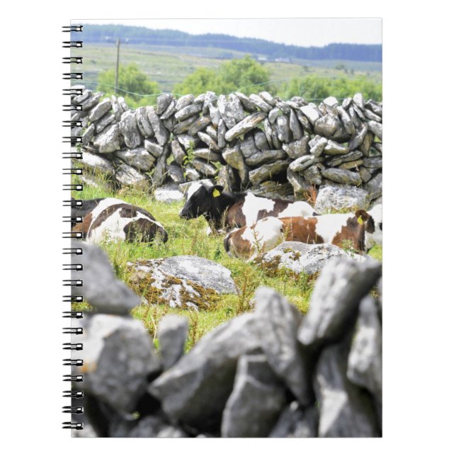 Cuaderno Vacas moo (Frente)