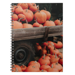 Cuaderno vagón de calabaza