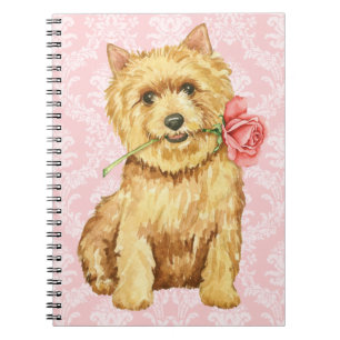 Cuaderno Valentine Rosa Norwich Terrier
