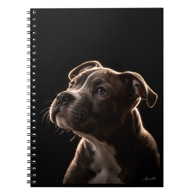 Cuaderno Valiente como un león (Frente)