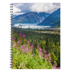 Cuaderno Valle de Matanuska, Alaska del Sur