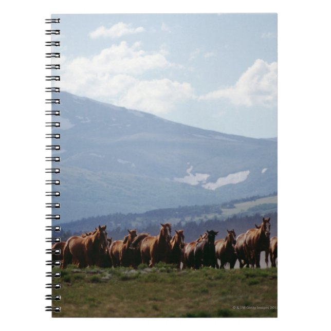 Cuaderno Vaquero moviendo rebaño de caballos (Frente)