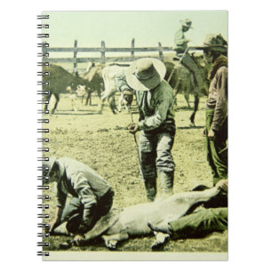 Cuaderno Vaqueros americanos que califican un becerro,