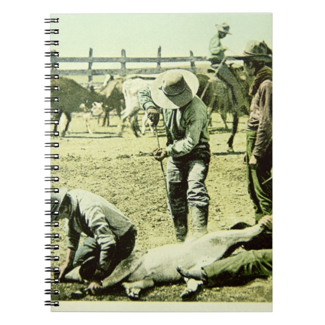 Cuaderno Vaqueros americanos que califican un becerro, (Frente)
