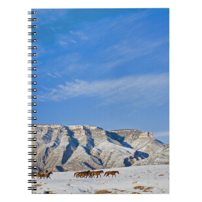 Cuaderno Vaqueros con manada de caballos (Frente)