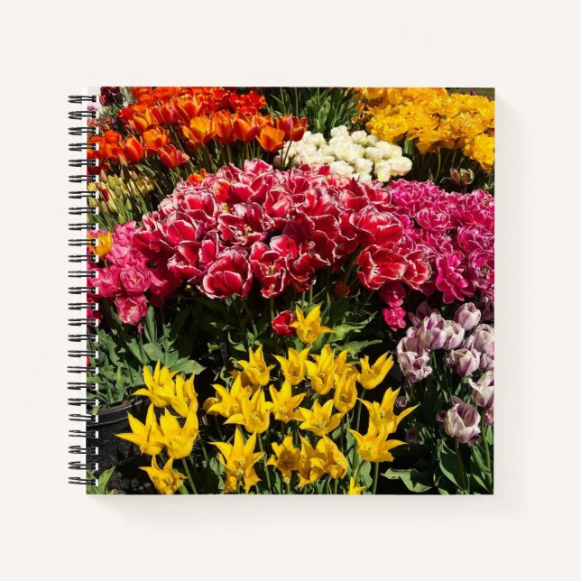 Cuaderno Variedad de tulipanes (Anverso)