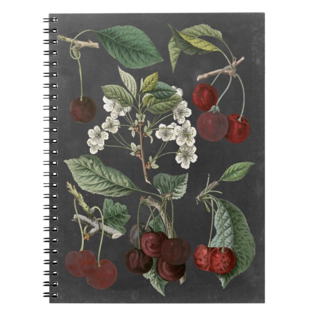 Cuaderno Variedades de huerto I (Frente)