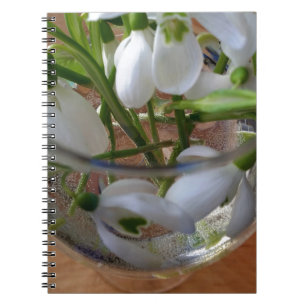Cuaderno vaso de gotas de nieve