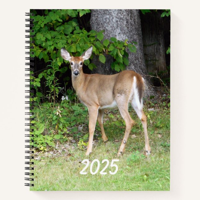 Cuaderno Venado de 2025 (Anverso)