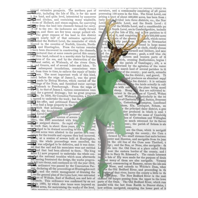 Cuaderno Venado de ballet en verde (Frente)