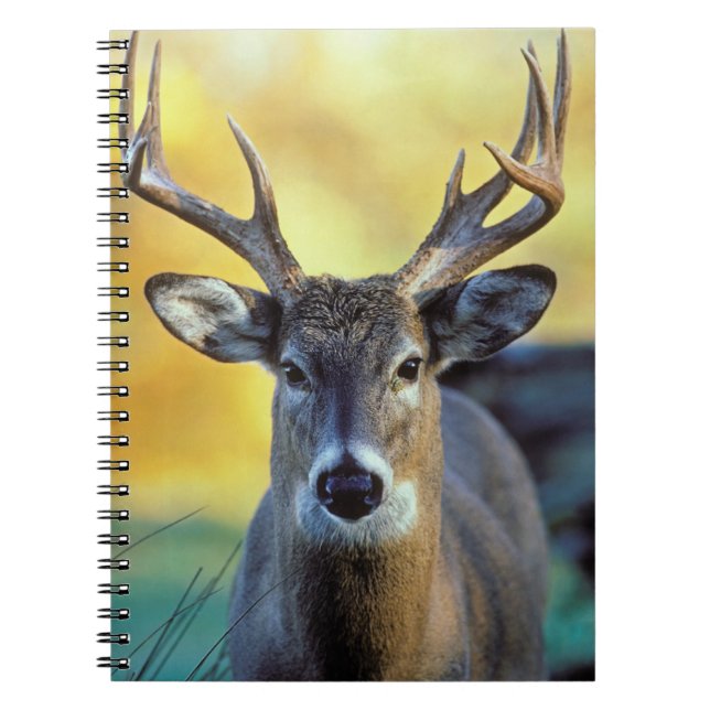 Cuaderno Venado de cola blanca | otoño (Frente)