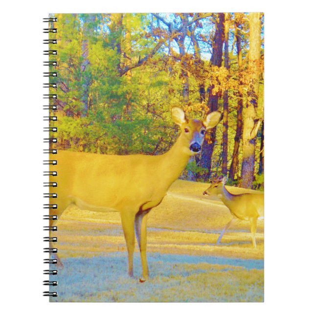 Cuaderno Venado de color turbio con azul claro (Frente)