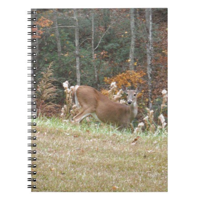 Cuaderno Venado de otoño en el lago Arrowhead GA (Frente)