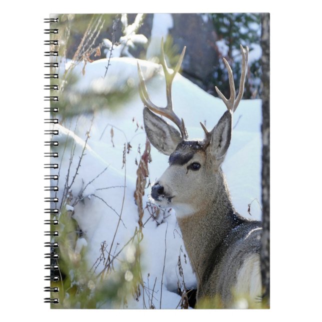 Cuaderno Venado En La Nieve (Frente)