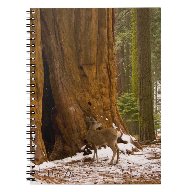 Cuaderno Venado Mula (Frente)