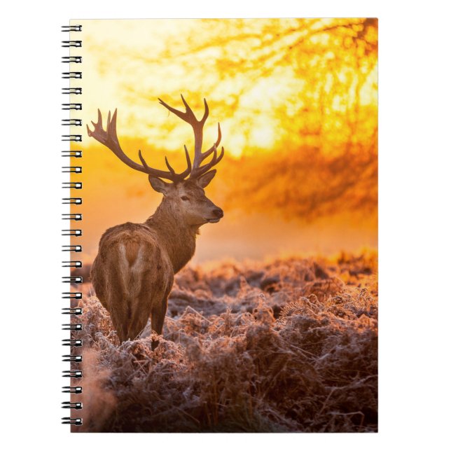 Cuaderno Venado rojo en el sol matutino. venado, animal, fa (Frente)
