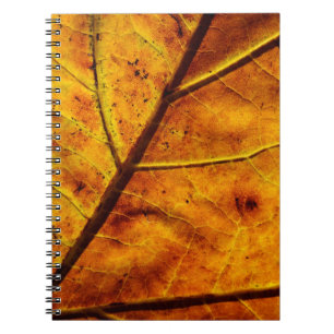 Cuaderno Venas de hoja de hojas textura de caída