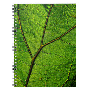 Cuaderno Venas de hojas de carbunco verde