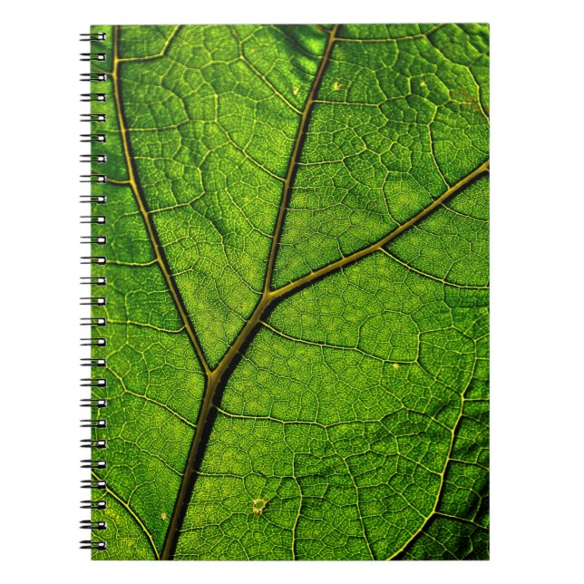 Cuaderno Venas de hojas de carbunco verde (Frente)