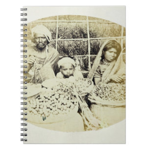 Cuaderno Vendedores hindúes de la verdura y de la fruta en