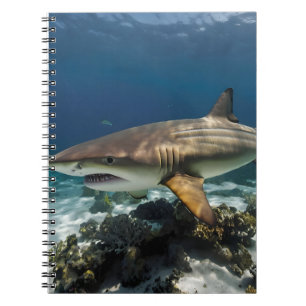 Cuaderno Verano de Playa Océano Azul Foto de tiburón