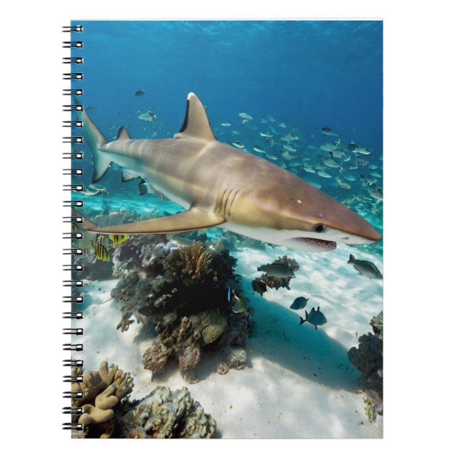 Cuaderno Verano de Playa Océano Azul Foto de tiburón        (Frente)