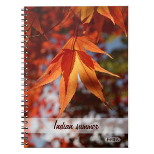 Cuaderno Verano indio