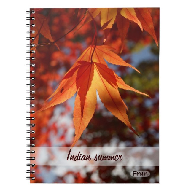 Cuaderno Verano indio (Frente)