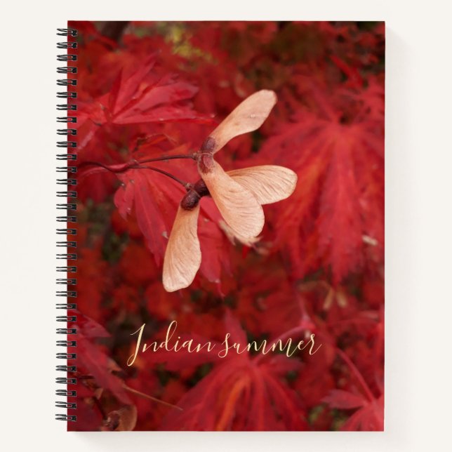 Cuaderno Verano indio - (Anverso)