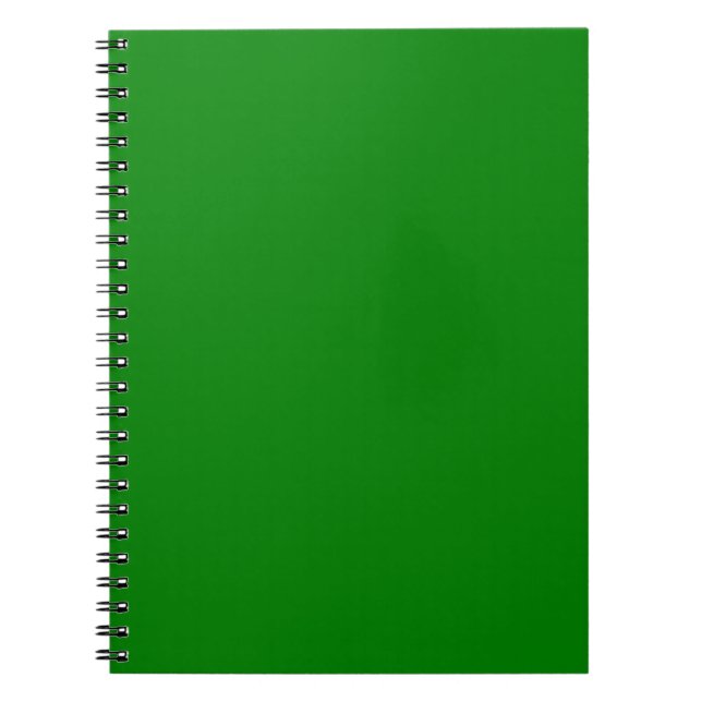Cuaderno Verdadero verde (Frente)