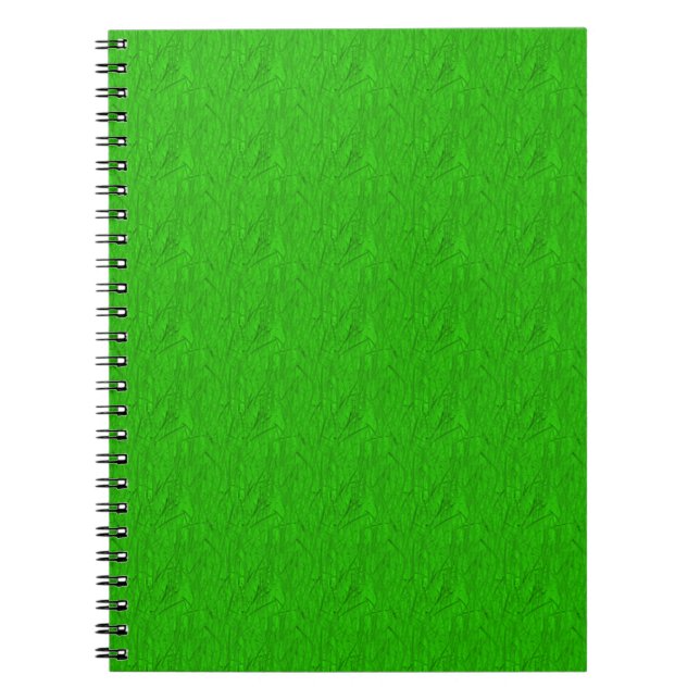 Cuaderno Verde (Frente)