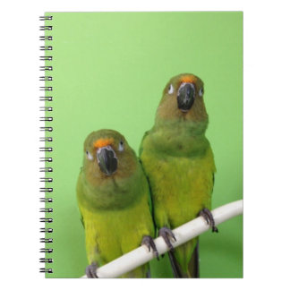 Cuaderno verde de Conure