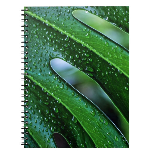 Cuaderno verde de hoja de planta de Monstera (Frente)