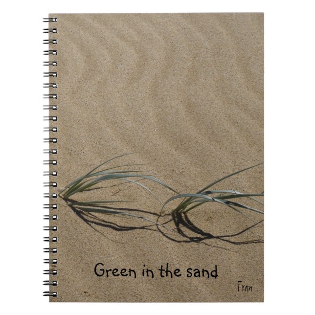 Cuaderno verde en la arena (Frente)