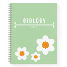 Cuaderno verde lindo