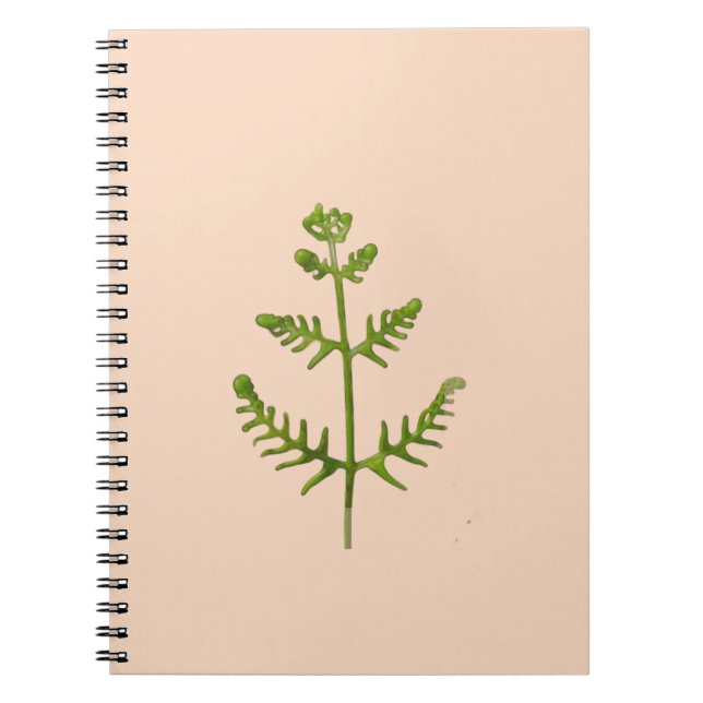 Cuaderno verde primavera (Frente)