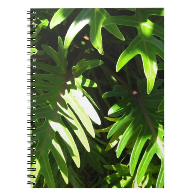 Cuaderno Verde tropical (Frente)