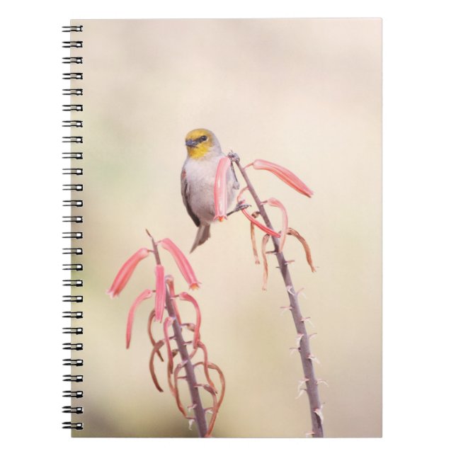 Cuaderno verdin encaramado sobre pentón (Frente)
