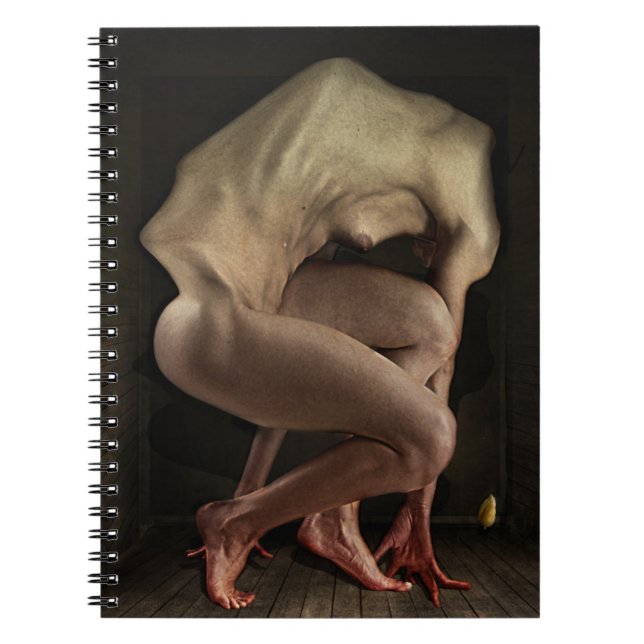 Cuaderno Vergüenza 2012 (Frente)