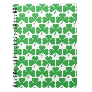 CUADERNO ¡VERGÜENZAS!