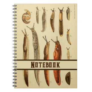 Cuaderno Vibrante historia natural del Ilustracion de barri