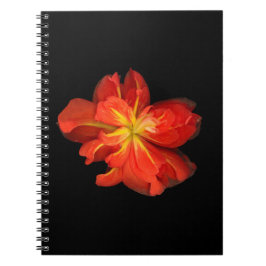Cuaderno Vibrante Naranja Begonia Macro