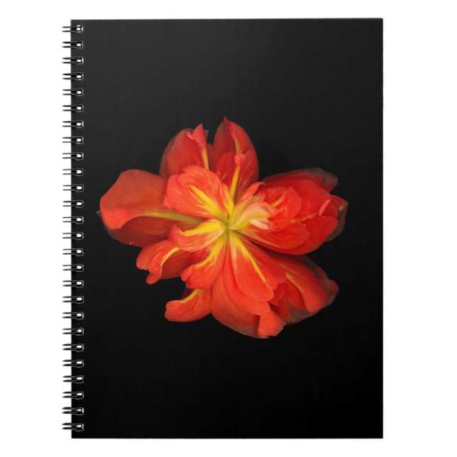 Cuaderno Vibrante Naranja Begonia Macro (Frente)