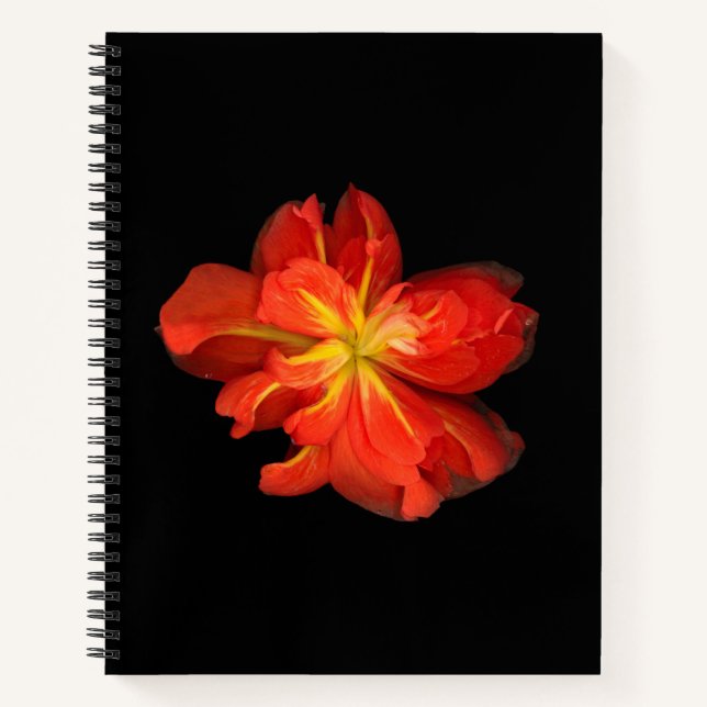 Cuaderno Vibrante Naranja Begonia Macro (Anverso)