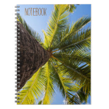 Vibrante palmera exótica