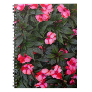 Cuaderno Vibrante patrón de flores de impatiens de Nueva Gu
