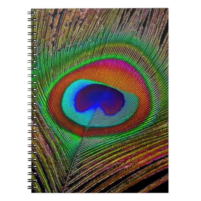Cuaderno Vibrante pluma de cobre para pavo real (Frente)