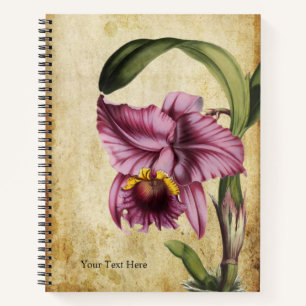 Cuaderno Vibrante Vintage Cattleya labiata Orchid