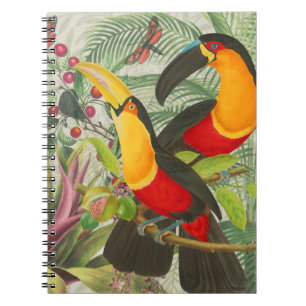 Cuaderno Vibrantes Aves Tropicales Turcas Arte Selva Exótic