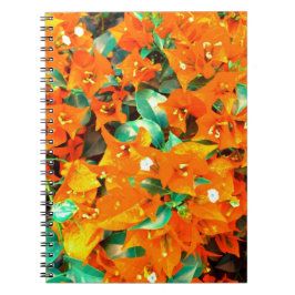 Cuaderno Vibrantes Flores de Buganvilla Naranja